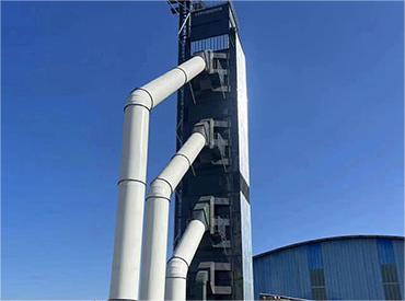 「最美巾幗賣糧人」朱海霞：帶領(lǐng)全村農(nóng)戶走上致富路